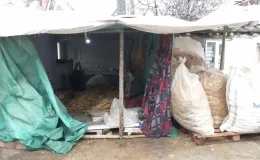 Depremzede Tütün İşçisi: Ankara’da Tedavi Olacak, Param Yok ki Göndereyim