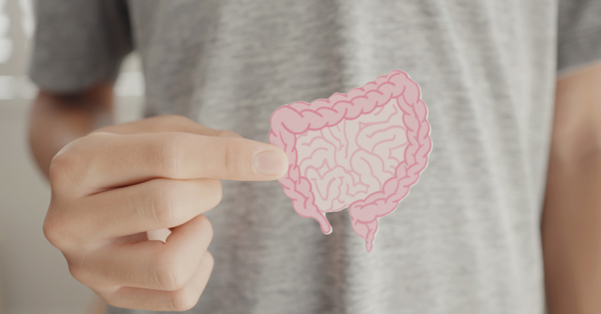 Bağırsak sağlığının olmazsa olmaz üç ayağı postbiyotik- prebiyotik- probiyotik nedir ve hangi besinlerde bulunur?