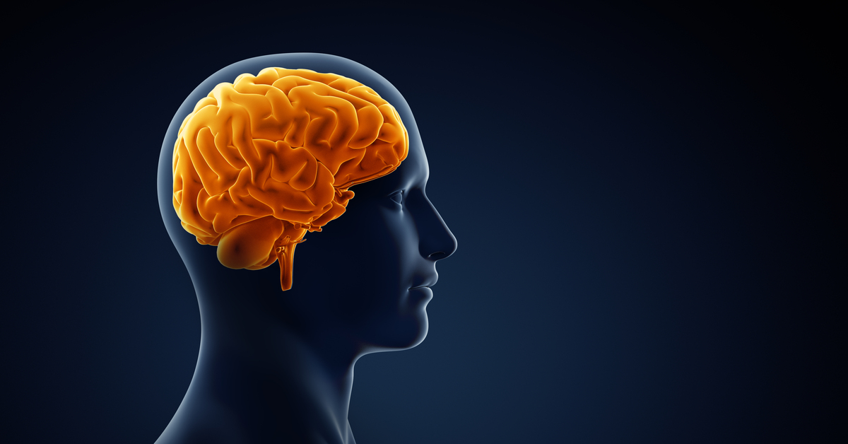 Fare beyninde atıkları temizlemeye yardımcı olan “glimfatik sistemin” insan beynindeki izlerine ulaşıldı