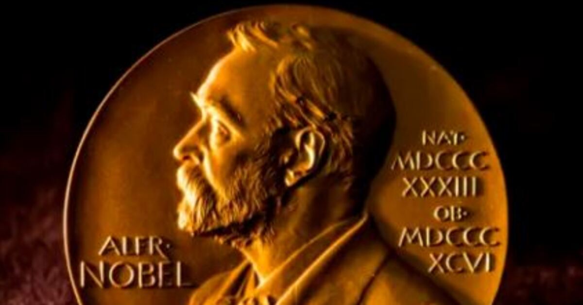 Son dakika haberi 2024 Tıp Nobel Tıp Ödülü sahiplerini buldu